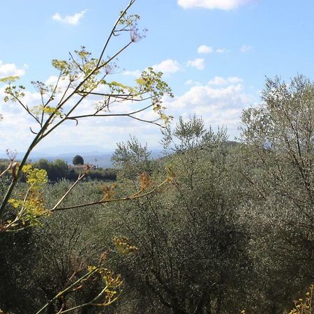 Country House Il Covo Della Civetta Barberino Val d'Elsa ภายนอก รูปภาพ
