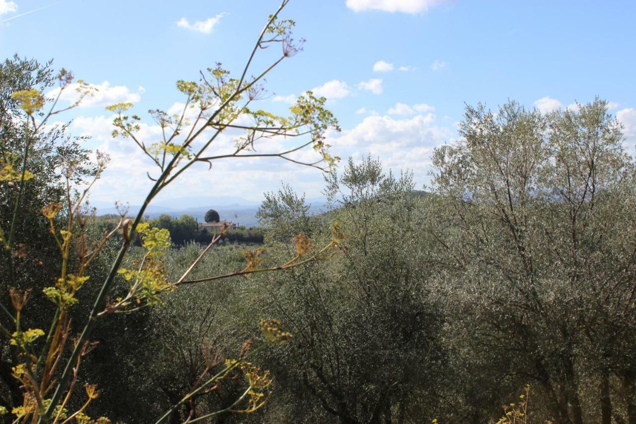 Country House Il Covo Della Civetta Barberino Val d'Elsa ภายนอก รูปภาพ